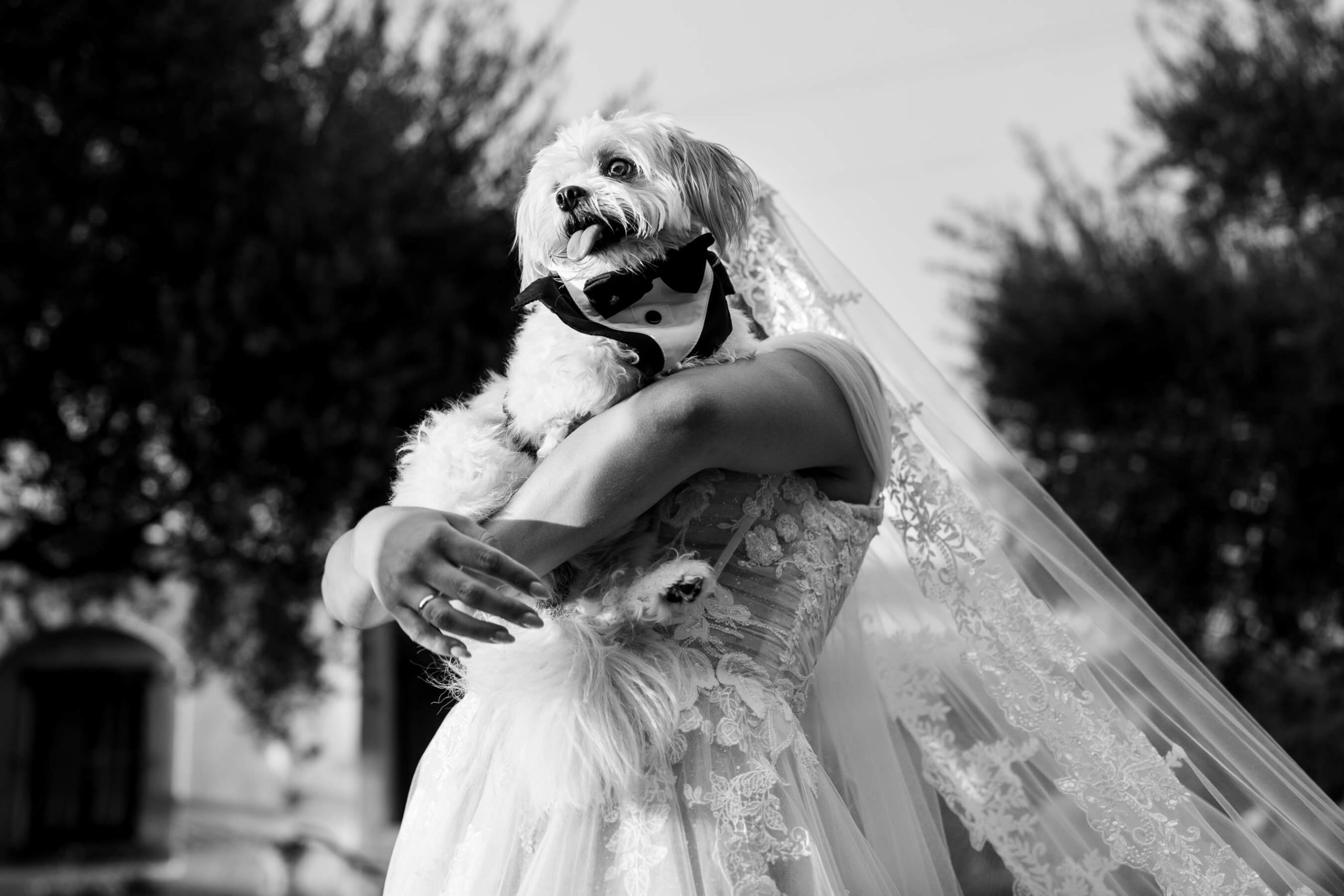 wedding photographer sardinia destination wedding matrimonio sardegna italia
